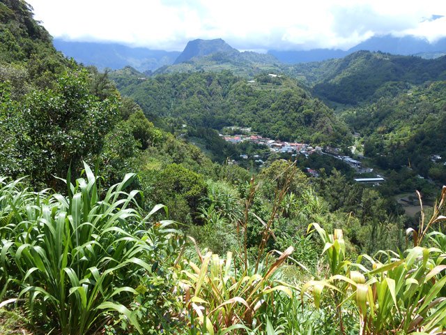 Le rempart couvert de bois de couleurs