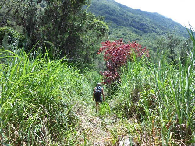 Agréable panorama sur le village de Salazie