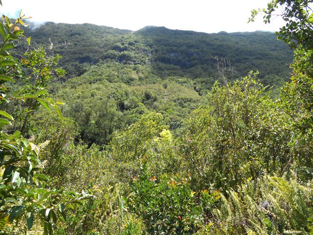 La première case et ses champs microscopiques