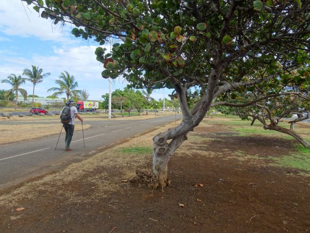 On peut débuter par la piste cyclable
