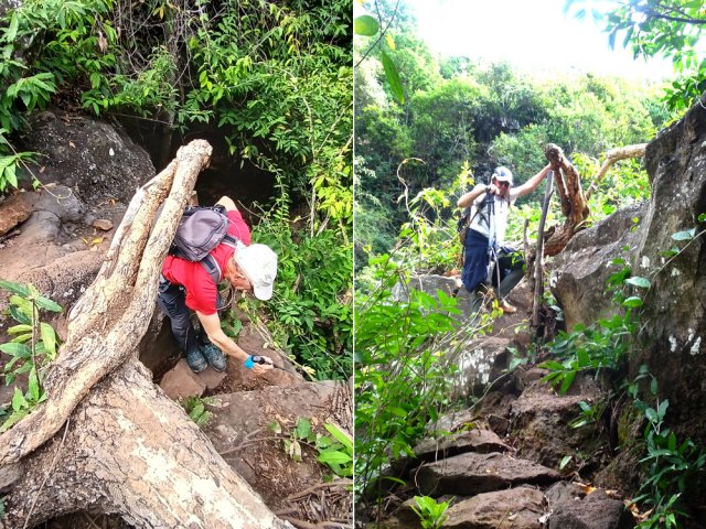 Quelques acrobaties pour franchir une zone tourmentée par la chute d'un arbre