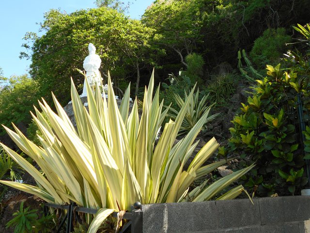 Un peu de verdure entoure la chapelle