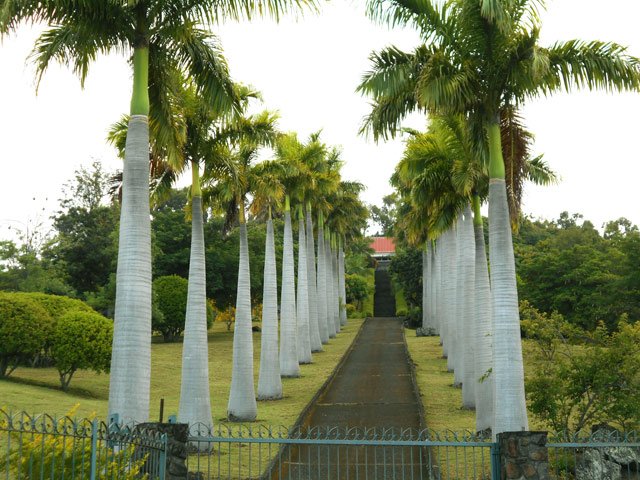 Grande et belle propriété à l'entrée de l'Etang Saint-Leu