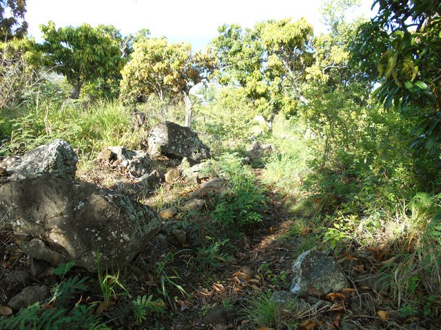 Le sentier qui débute près de la maison en bois