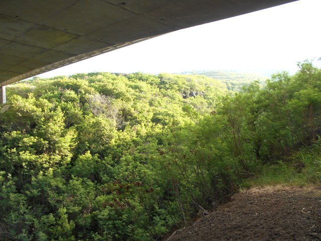 Franchissement de la route des Tamarins