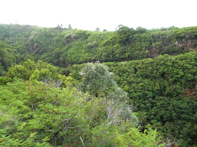 Une petite idée de la profondeur du ravin où le bus est tombé