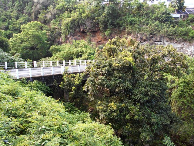 Le pont de la Ravine du Petit Etang