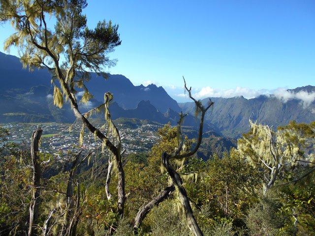Premiers beaux panoramas à travers les branches et les barbes de Saint-Antoine