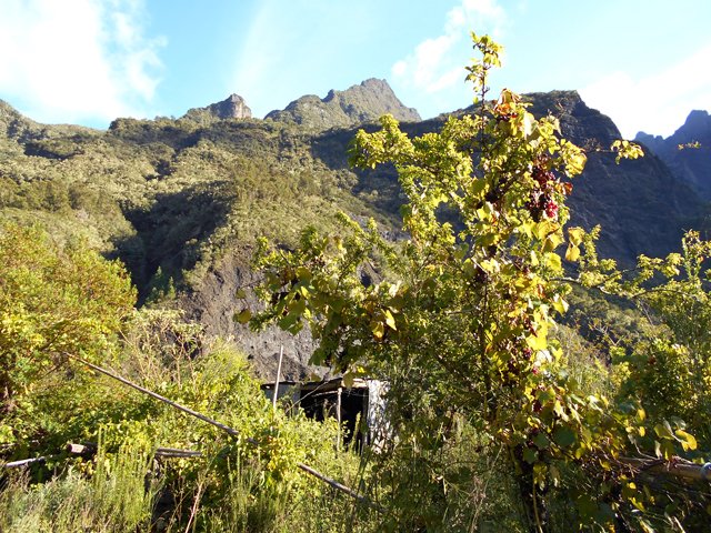 La cabane et les paysages qui l'entourent