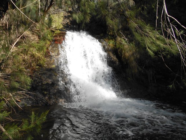 Une courte cascade et son petit bassin