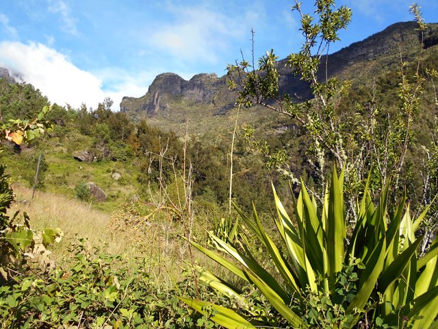 Arrivée au plateau qui n'est pas encore totalement envahi de végétation