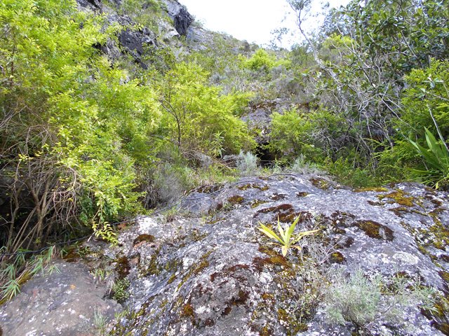 Si on ne voit pas bien le sentier, on distingue mieux le câble électrique