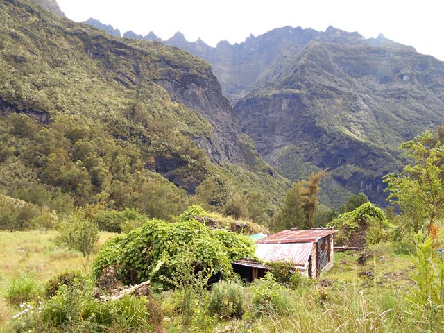 Une case isolée de l'Îlet des Salazes