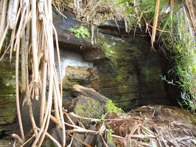 Très belle falaise d'une centaine de mètres de longueur