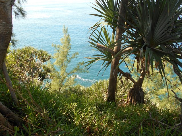 On passe parfois au plus près de la falaise cachée par les arbres : prudence
