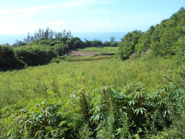 Les champs qui dominent les falaises ocre
