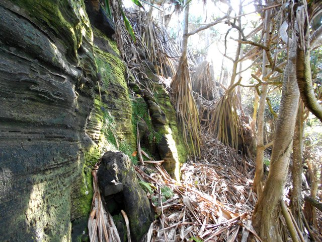 Quel plaisir quand le Sentier Littoral Sud passera ici !
