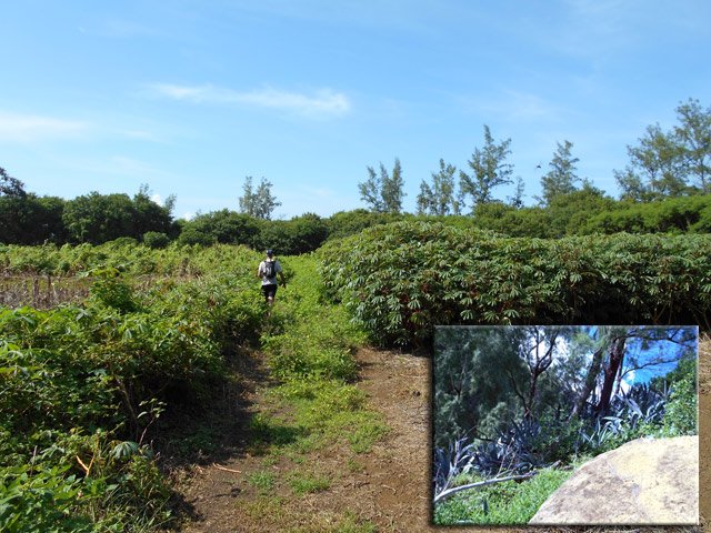 Le chemin de droite qui mène au haut de Cap Jaune
