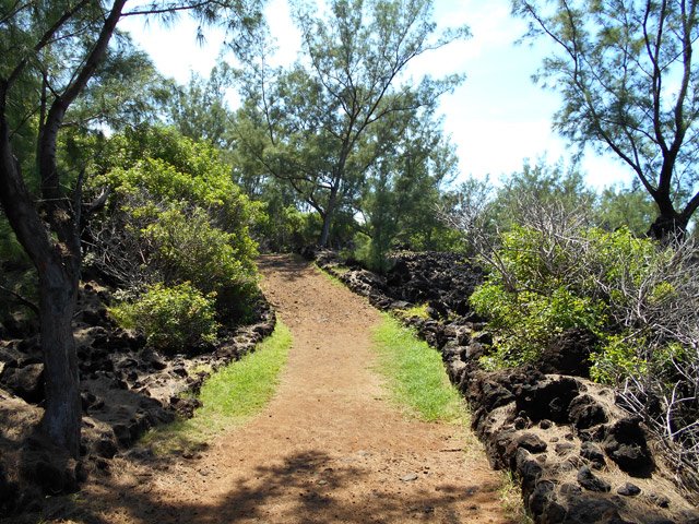 Traversée de la zone de Saviac par une superbe piste en bord d'océan