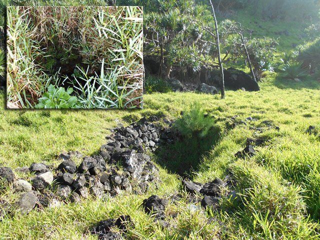 Le Puits de Langevin dans les herbes. Attention à la chute !