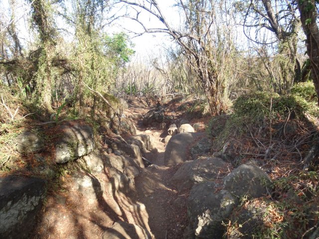 Certains passages sont très techniques pour les vététistes