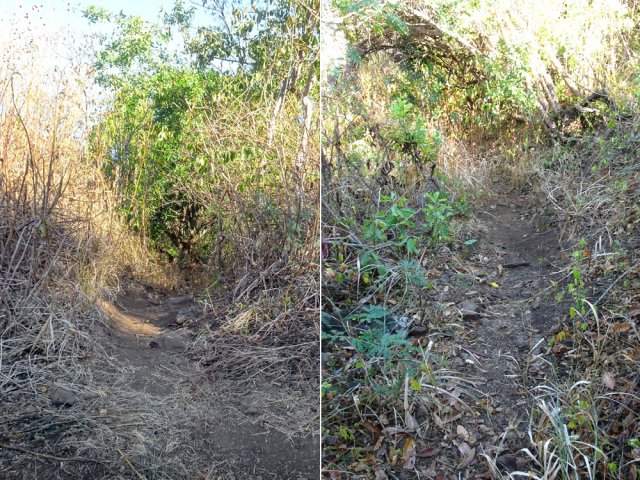 Presque tous les lacets sont coupés par des raccourcis faciles à deviner