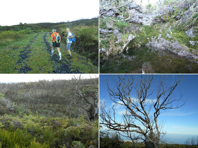Du gîte vers la Piste des 1800, le matin au lever du jour