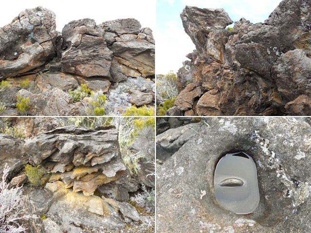 Les sculptures aux abords du Bras Sud de la Grande Ravine