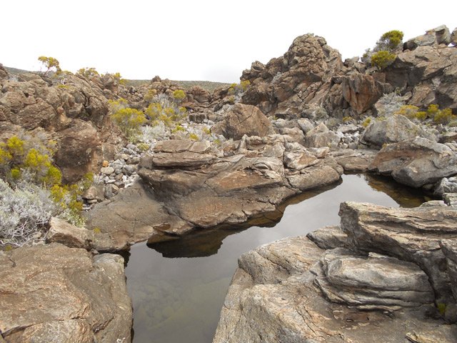 Terrain sauvage pour amoureux des photographies de nature