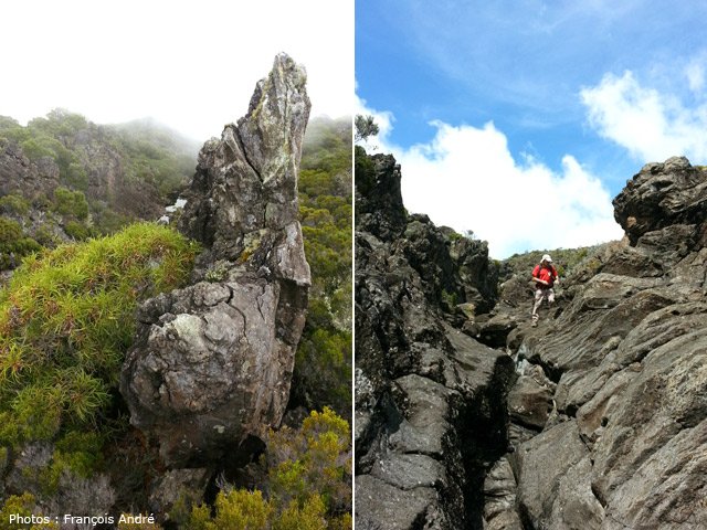 Belles natures mortes garanties. La roche accroche bien la semelle pour un passage sans danger
