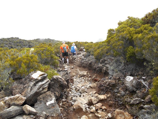 Retour vers le gîte des Tamarins, toujours sur les cailloux