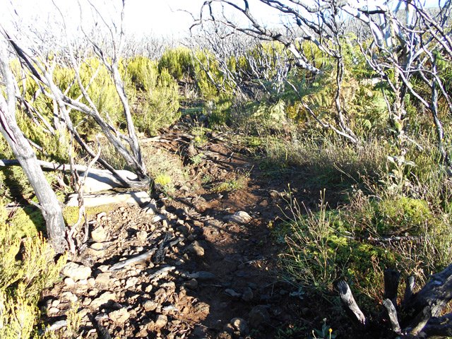 Le sentier apparaît de temps en temps entre les plaques de lave