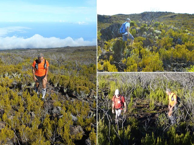 Une idée du terrain avec végétation rase, très facile d'accès