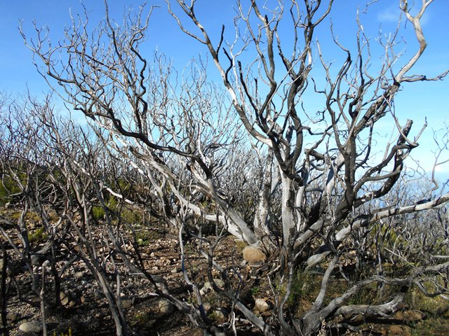 L'endroit était plus difficile d'accès avant l'incendie