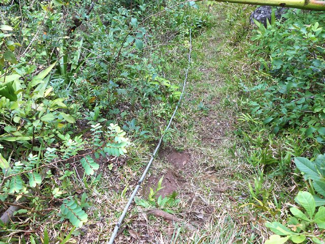 L'image ne montre pas la forte descente dont l'herbe peut être glissante avec la rosée du matin