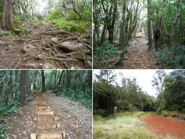 Quelques exemples du sentier dans la montée vers le Colorado