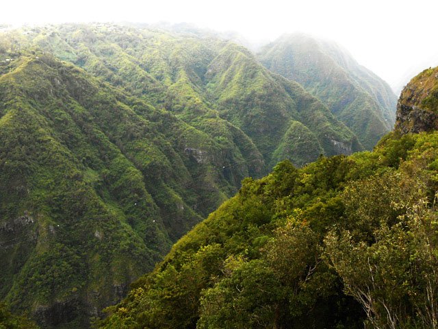 Quelques points de vue sur la vallée profonde de la Rivière Saint-Denis