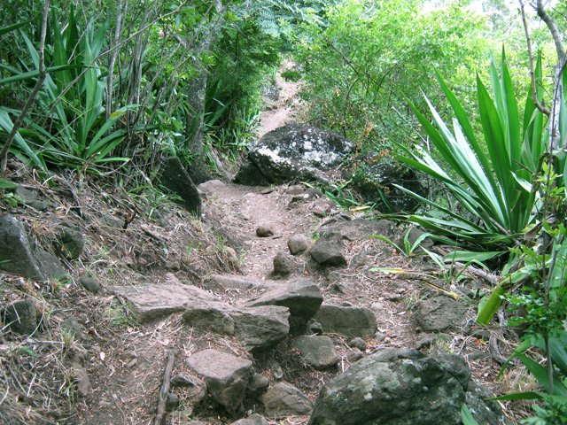 Le sentier caillouteux du Colorado