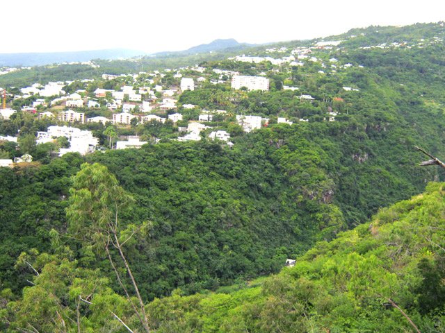 Les habitations de Bellepierre en fin de descente