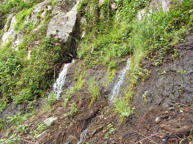 Les deux sources qui jaillissent de la falaise écroulée