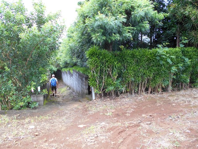 Encore un raccourci entre les habitations
