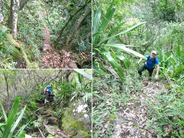 L'échelle et d'autres portions de ce sentier abrupt