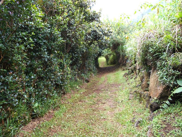 Le Circuit des Margosiers à la sortie du Sentier des Trois Sources