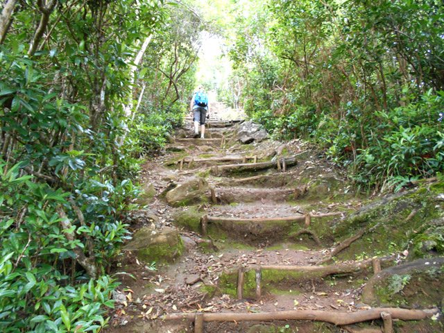 Montée glissante vers le sommet du Piton de la Petite Plaine