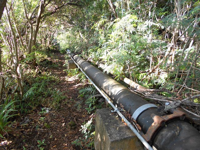 Agréable sentier le long de la canalisétion