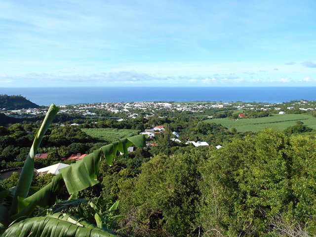 Beaux panoramas sur Saint-Joseph depuis la plantation de letchis