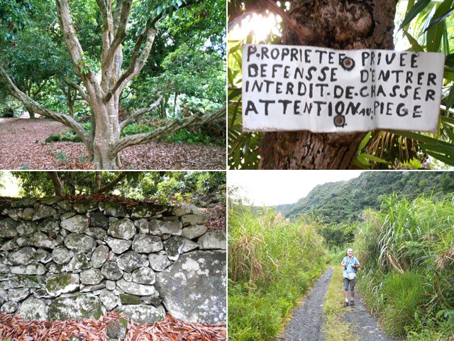 Pas de danger sur la piste de l'Îlet Delbon, le piège est peut-être sous les letchis