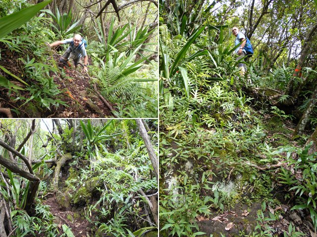 Belles et rudes montées des Trois Sources à la Plaine des Grègues