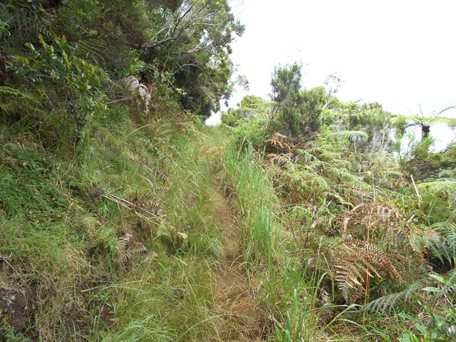 Une portion un peu étroite de ce sentier