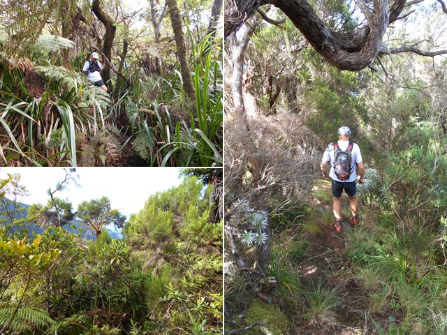 Quelques autres portions du sentier de descente